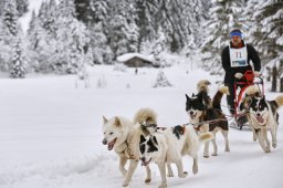 Kandersteg 2014 WM