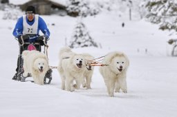 Kandersteg 2014 WM