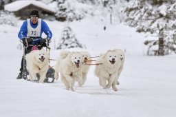 Kandersteg 2014 WM