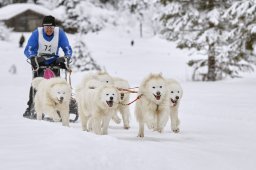 Kandersteg 2014 WM