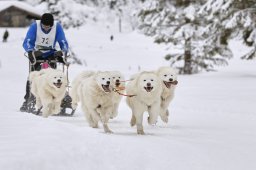 Kandersteg 2014 WM