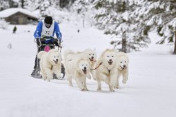 Kandersteg 2014 WM