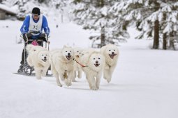 Kandersteg 2014 WM