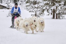 Kandersteg 2014 WM