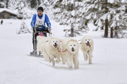 Kandersteg 2014 WM