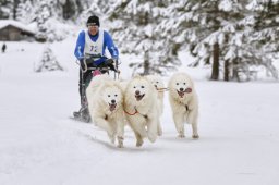 Kandersteg 2014 WM