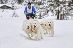 Kandersteg 2014 WM