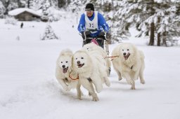 Kandersteg 2014 WM