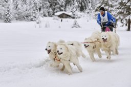 Kandersteg 2014 WM