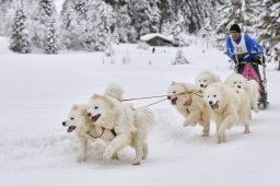 Kandersteg 2014 WM