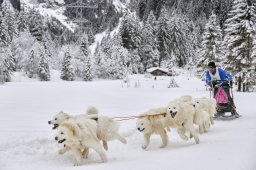 Kandersteg 2014 WM