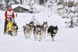 Kandersteg 2014 WM