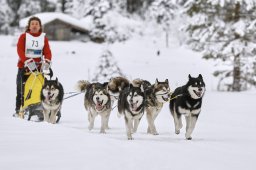 Kandersteg 2014 WM