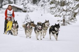 Kandersteg 2014 WM