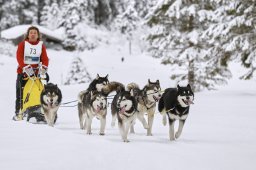 Kandersteg 2014 WM