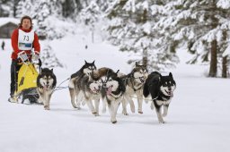 Kandersteg 2014 WM