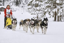 Kandersteg 2014 WM