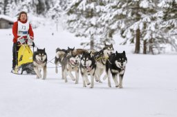 Kandersteg 2014 WM