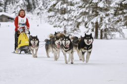 Kandersteg 2014 WM