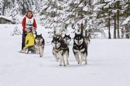 Kandersteg 2014 WM