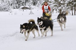 Kandersteg 2014 WM