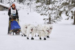 Kandersteg 2014 WM