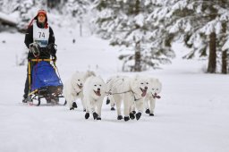 Kandersteg 2014 WM