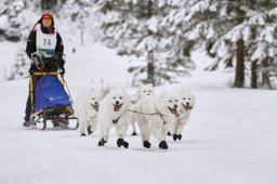 Kandersteg 2014 WM