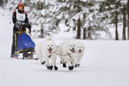 Kandersteg 2014 WM