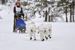 Kandersteg 2014 WM