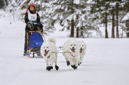 Kandersteg 2014 WM