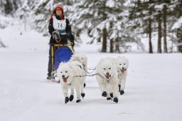 Kandersteg 2014 WM