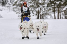 Kandersteg 2014 WM