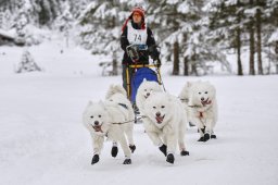 Kandersteg 2014 WM