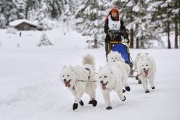 Kandersteg 2014 WM