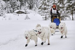 Kandersteg 2014 WM