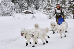 Kandersteg 2014 WM