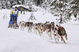 Kandersteg 2014 WM