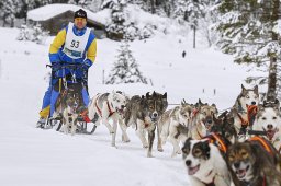 Kandersteg 2014 WM