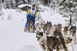 Kandersteg 2014 WM