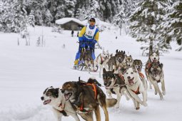 Kandersteg 2014 WM