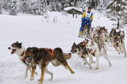 Kandersteg 2014 WM