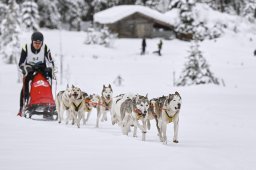 Kandersteg 2014 WM