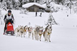 Kandersteg 2014 WM