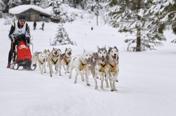 Kandersteg 2014 WM