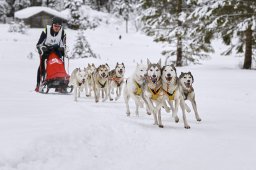 Kandersteg 2014 WM