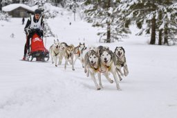 Kandersteg 2014 WM