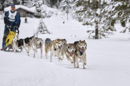 Kandersteg 2014 WM