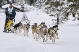 Kandersteg 2014 WM