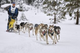 Kandersteg 2014 WM